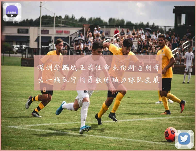 深圳新鹏城正式任命米伦科吉利奇为一线队守门员教练助力球队发展